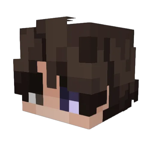Goi253 Minecraft avatar head, 3D render