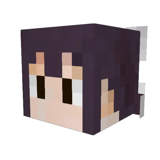 Goide Minecraft avatar head, 3D render
