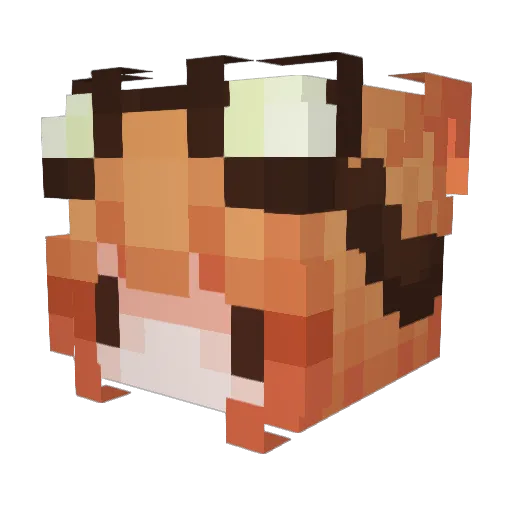 GoinNowhere Minecraft avatar head, 3D render