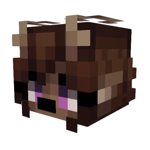 GoingFeral5632 Minecraft avatar head, 3D render