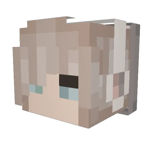 GojiiFox Minecraft avatar head, 3D render