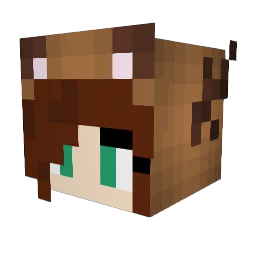 Gojira1408 Minecraft avatar head, 3D render