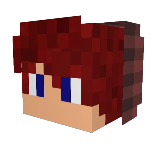 Gok00n Minecraft avatar head, 3D render
