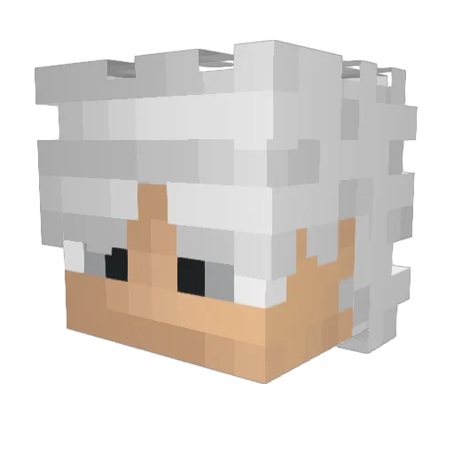 Gokkenator Minecraft avatar head, 3D render
