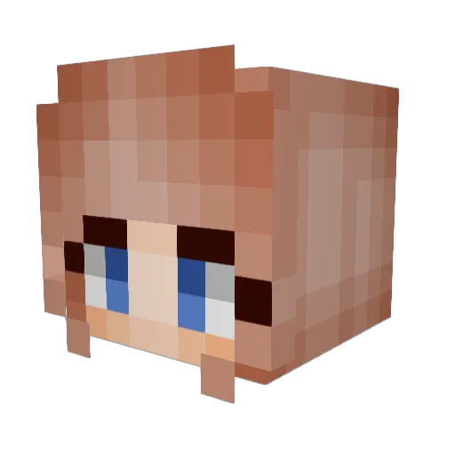 GoldStarSky Minecraft avatar head, 3D render