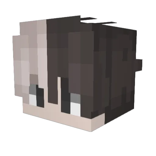 GoldTigerPlus_ Minecraft avatar head, 3D render