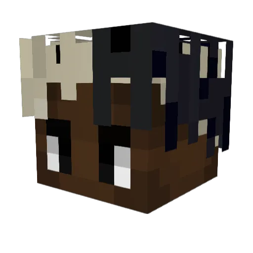 Goldan_ Minecraft avatar head, 3D render