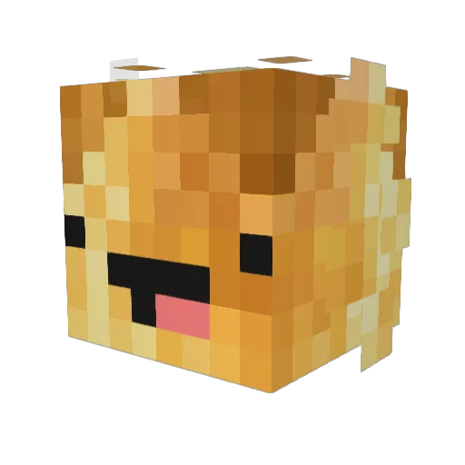 GoldenAppa Minecraft avatar head, 3D render