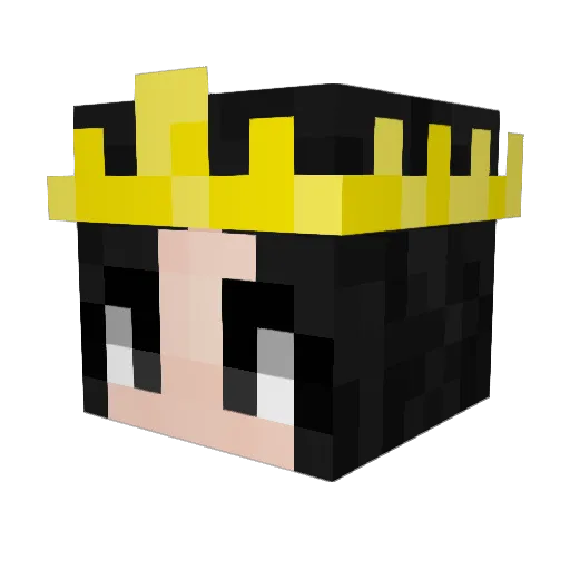 GoldenBicycle Minecraft avatar head, 3D render