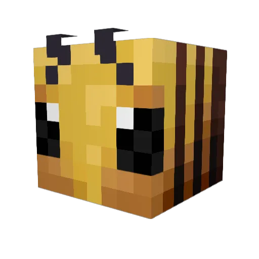 GoldenCoins_ Minecraft avatar head, 3D render