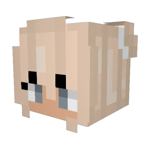 GoldenMacaw1201 Minecraft avatar head, 3D render