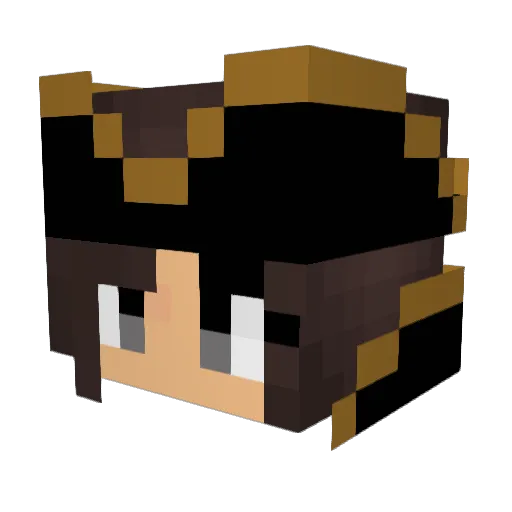 GoldenNova810 Minecraft avatar head, 3D render