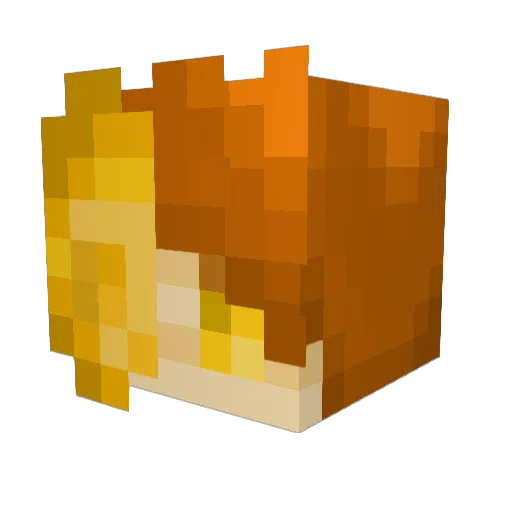 Golden_Arcade Minecraft avatar head, 3D render