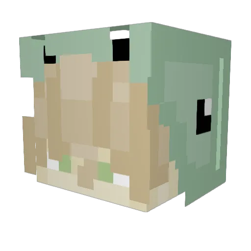 Goldenant55 Minecraft avatar head, 3D render