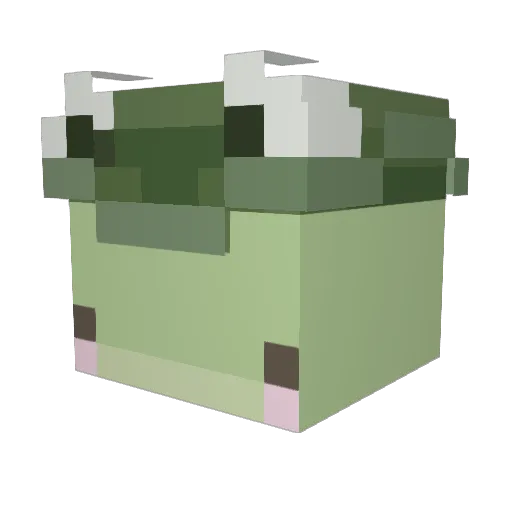 Goldenboy01225 Minecraft avatar head, 3D render