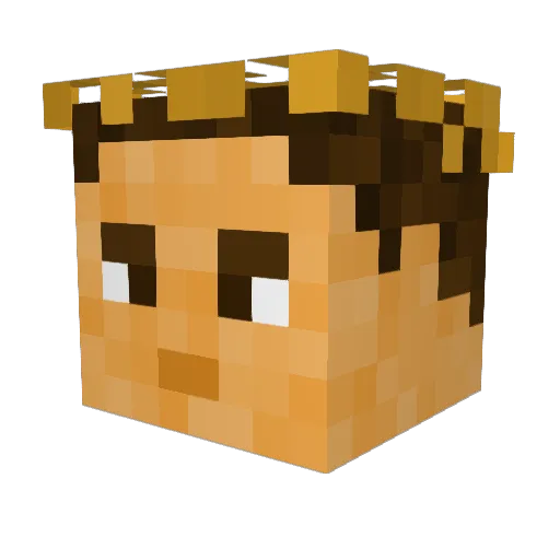 Goldengo_51 Minecraft avatar head, 3D render