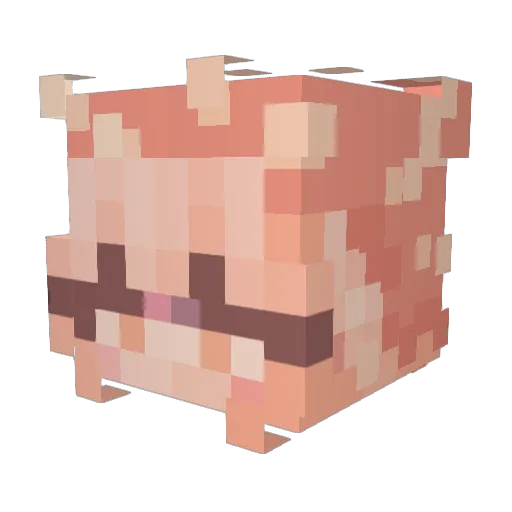 Goldfeeesh Minecraft avatar head, 3D render