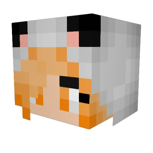 Goldfish_BD_ Minecraft avatar head, 3D render
