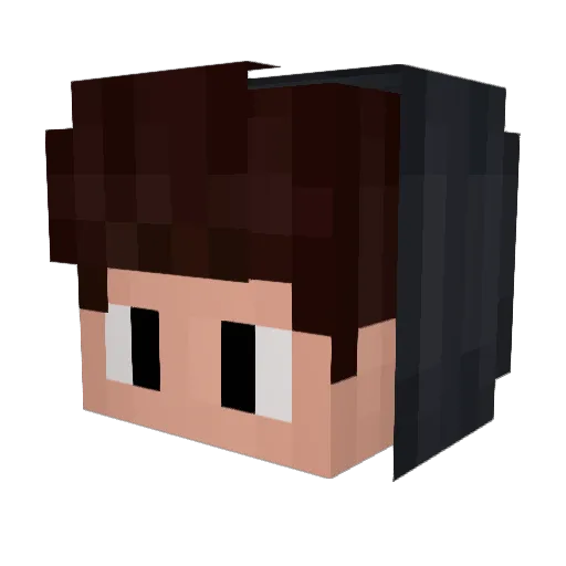 Goldpinguin_exe Minecraft avatar head, 3D render