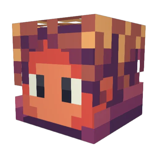 Goldshark_402 Minecraft avatar head, 3D render