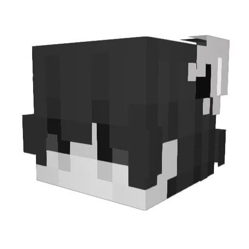 Goldwing_78 Minecraft avatar head, 3D render
