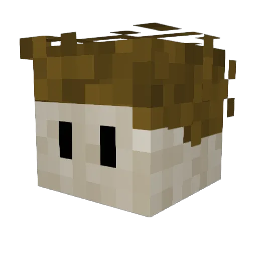 GolinsGoons Minecraft avatar head, 3D render