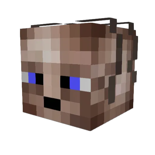 Gollum22 Minecraft avatar head, 3D render