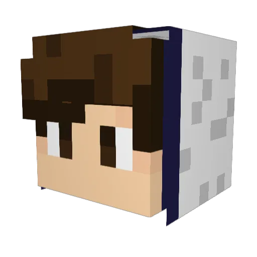 Goloh Minecraft avatar head, 3D render