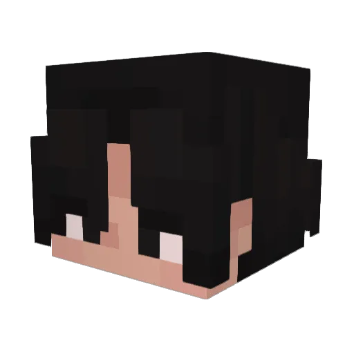 Gomeesgoma Minecraft avatar head, 3D render