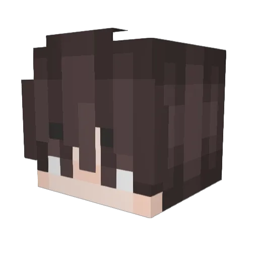Gomila11 Minecraft avatar head, 3D render
