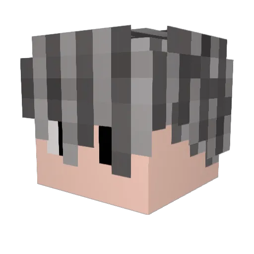 Gomoul Minecraft avatar head, 3D render