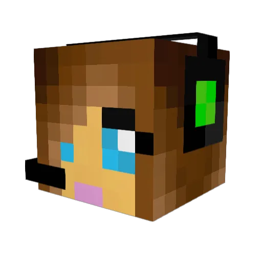 GomyLP Minecraft avatar head, 3D render