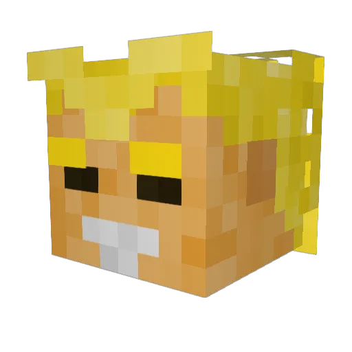 Gon2000 Minecraft avatar head, 3D render