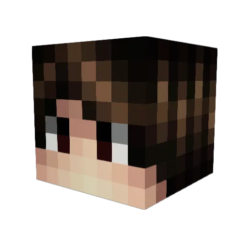 GonciiPaBo Minecraft avatar head, 3D render
