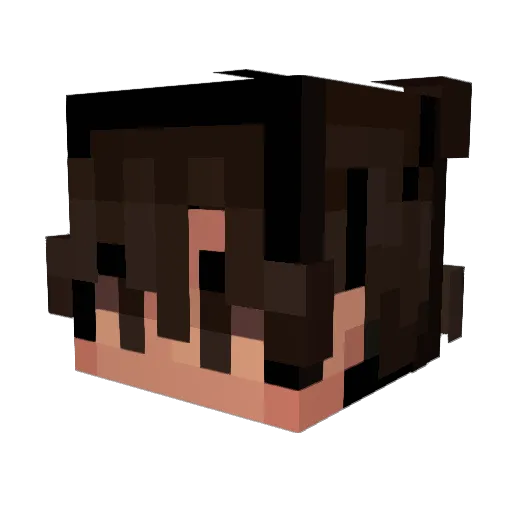 Gonfonix Minecraft avatar head, 3D render