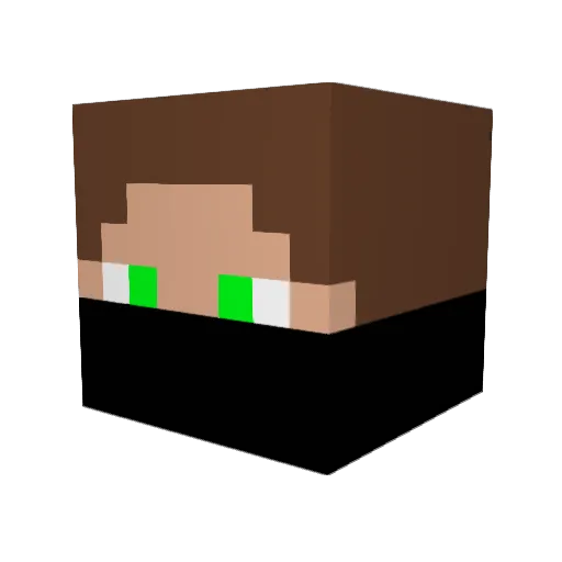 Gonsik420 Minecraft avatar head, 3D render