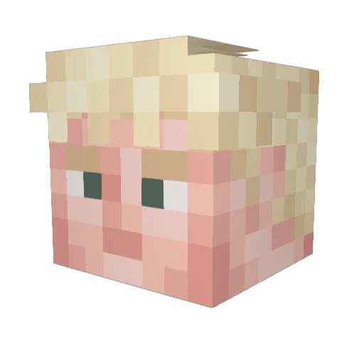 Gonsotron Minecraft avatar head, 3D render