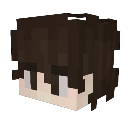 Gontas Minecraft avatar head, 3D render