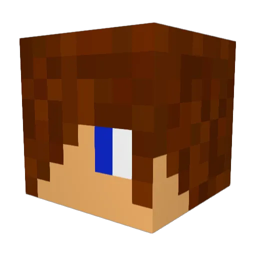Gonya2013 Minecraft avatar head, 3D render