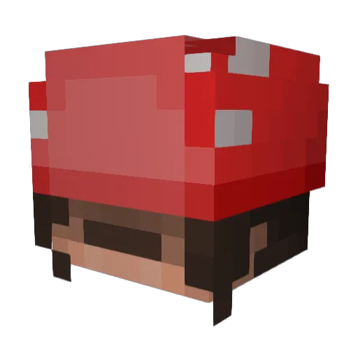 Gonzimus Minecraft avatar head, 3D render