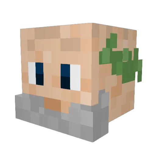 GooPiger1619 Minecraft avatar head, 3D render