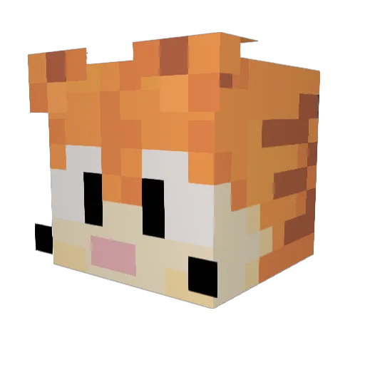 GooberMC8 Minecraft avatar head, 3D render