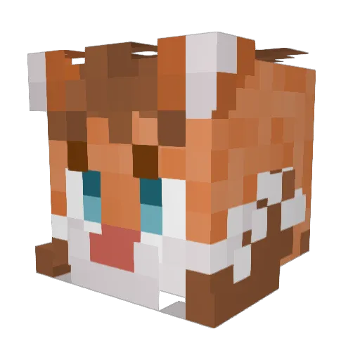 GooberrSuki Minecraft avatar head, 3D render