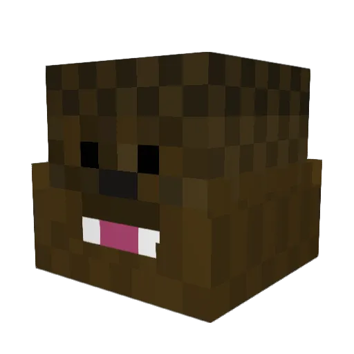 Goobidy Minecraft avatar head, 3D render