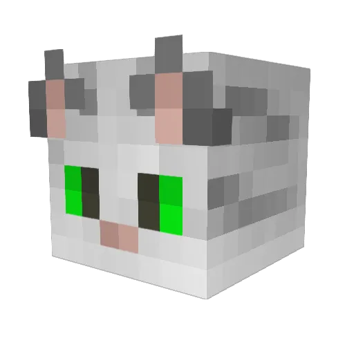 Goobyfan Minecraft avatar head, 3D render