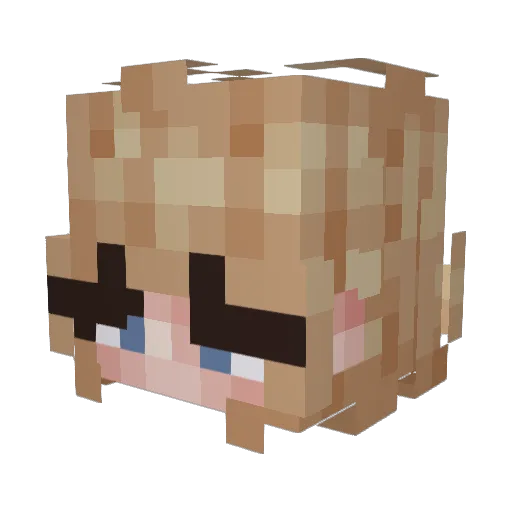 GoodDogger Minecraft avatar head, 3D render
