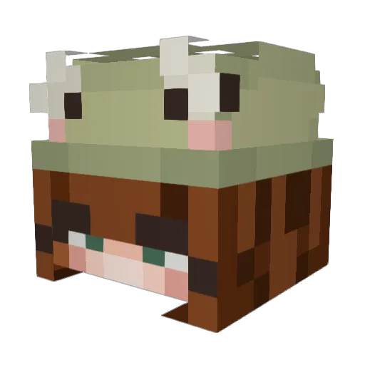 GoodGollyOhMolly Minecraft avatar head, 3D render