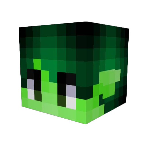 GoodGuyGav Minecraft avatar head, 3D render