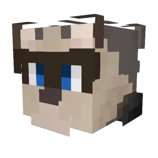 GoodGuy_Grim Minecraft avatar head, 3D render