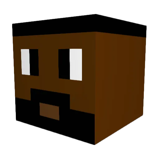GoodWillShopper Minecraft avatar head, 3D render